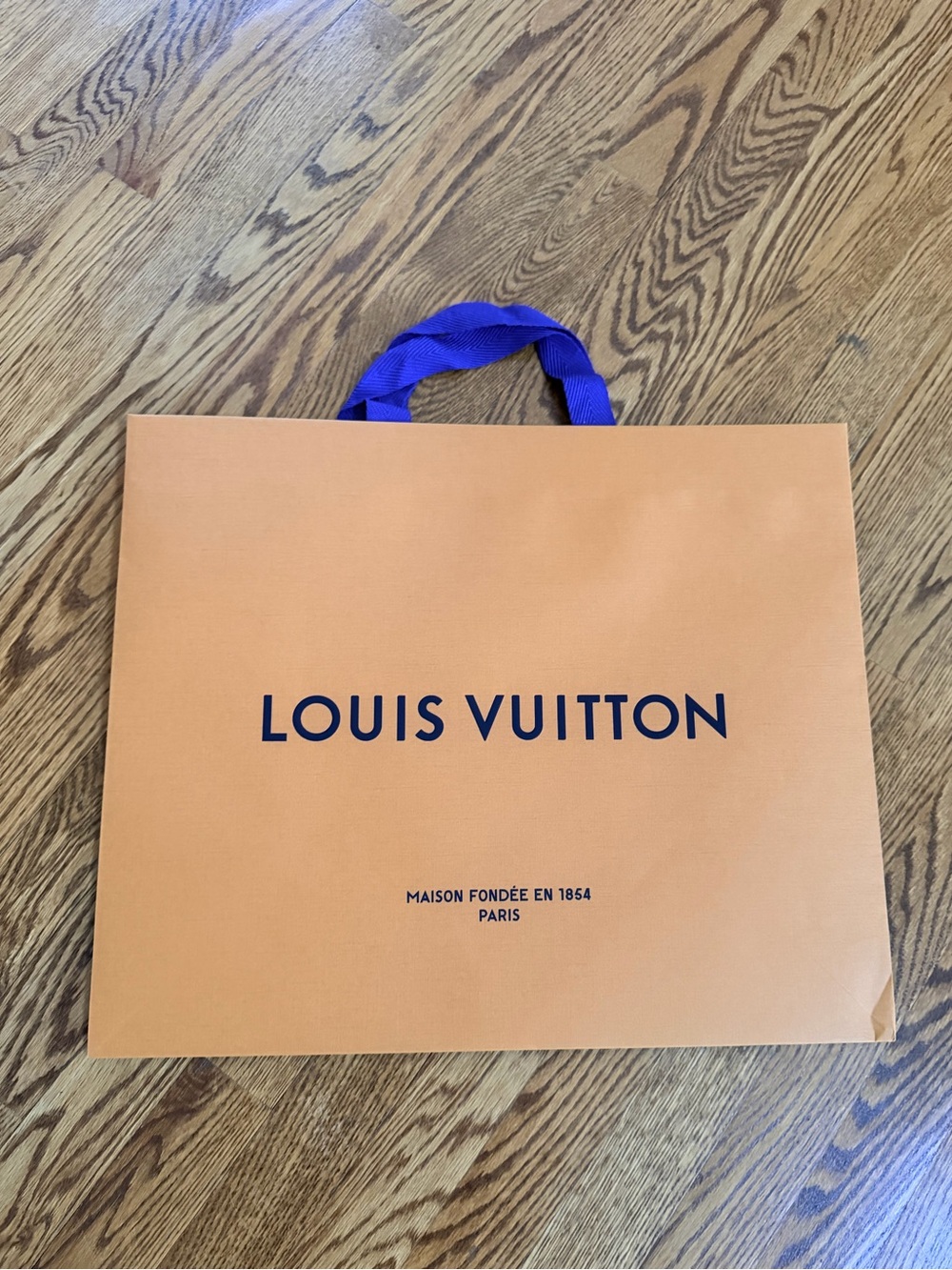 Louis Vuitton large shopping bag brand new
